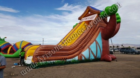 Giant Inflatable Side Rental Phoenix Arizona
